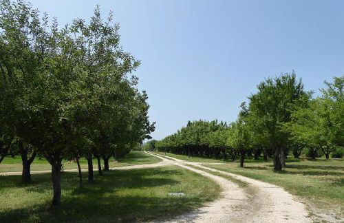 Silea Apartments, Pool, Garden, Treviso - Foto 27