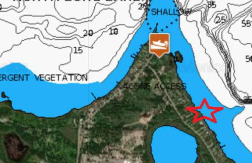 Remodeled, Grill, Outside Seating, Dock, Swimming - Photo 14