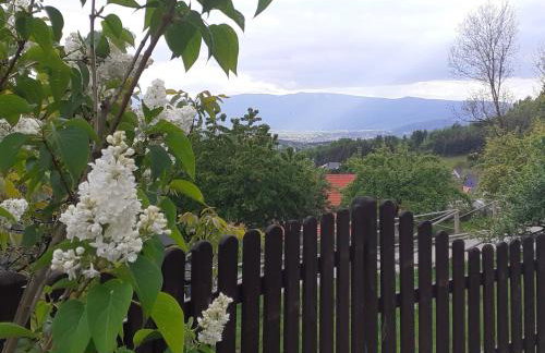 Agroturystyka Łysa Góra - Foto 62