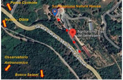 Sa Mesaluna Naturhouse - Foto 40