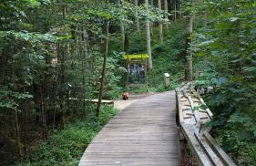 Tourenblick - Ferienwohnung an den drei Kaiserbergen - Foto 26