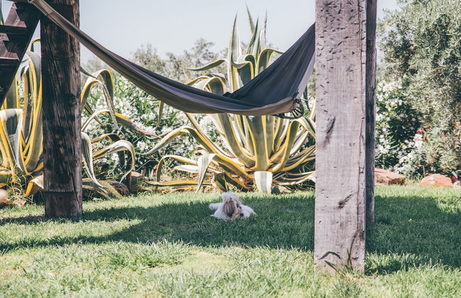 Molino la Nava - Foto 51