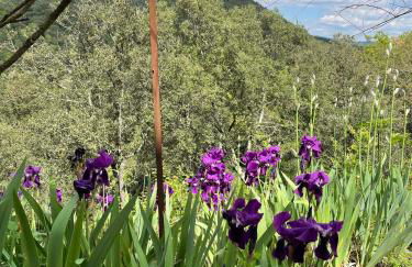 Mas Suéjol - Foto 41