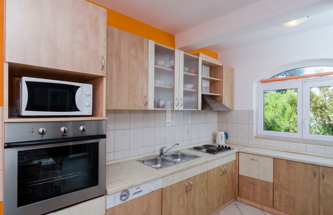 Plavac Mali - Photo 10