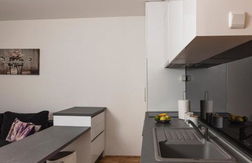 Apartment Check In Zagreb Maksimir-free parking - Foto 49