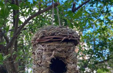 Misho apartment with terrace - Foto 26