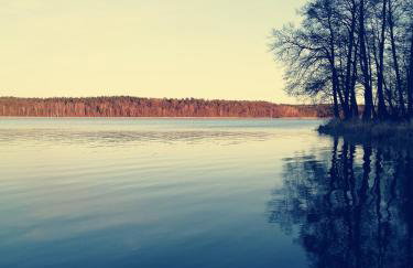 Mazurska Niwa - Foto 12