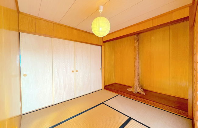 ANGO ISHIGAKIJIMA1 - Foto 5