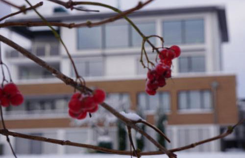 Direkt am See - Bodenseeresidenz in Bodman - Foto 22