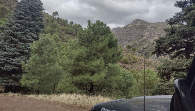 Tour en 4x4 por el Parque Nacional Sierra de las Nieves - Foto 2, Parque Nacional Sierra de las Nieves