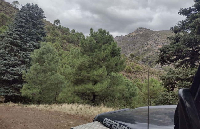 Tour en 4x4 por el Parque Nacional Sierra de las Nieves - Foto 2