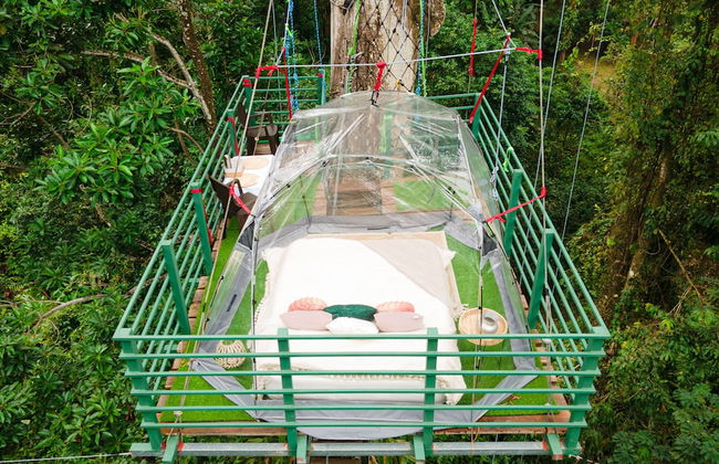 Green Jungle House - Photo 2