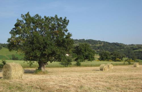 Agriturismo Il Cavallino Saturnia - Foto 56