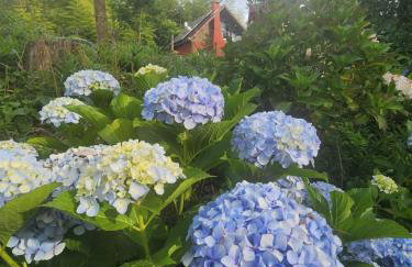 Chalé manacá da Serra - Foto 4