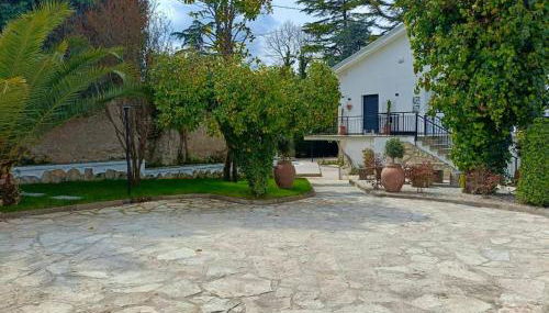 Casa delle Foglie - Photo 4