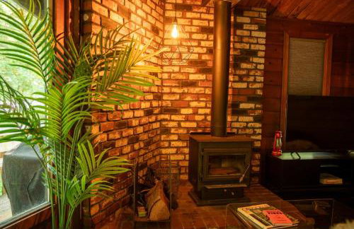 Mid-century Cabin Hideaway - Hot Tub & Fire Pit - Foto 33