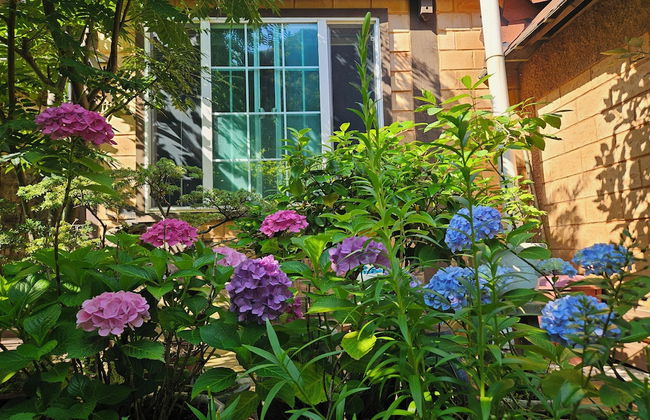 Ulleung Haeoreum Pension - Foto 69