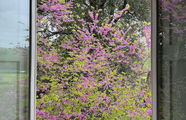 Villa La Dogana - Foto 37