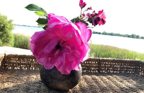 Ferienwohnung Schleistrand - Photo 11