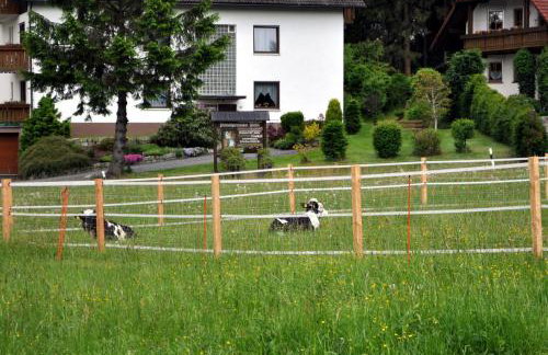 Ferienhaus Müller - Foto 12