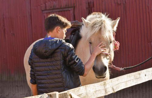 504 Stallgeflüster - Foto 34