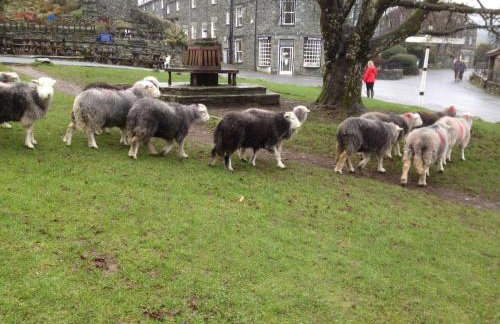 Cosy home in centre of Lake District National Park - Foto 7