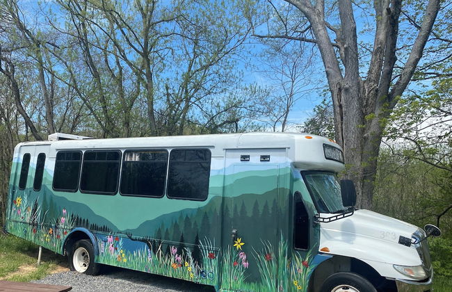 Canal Cabins - Foto 2