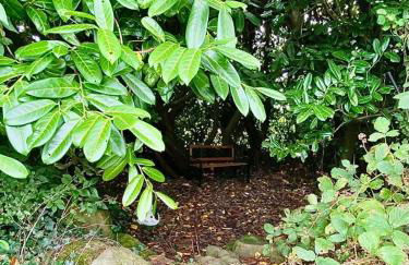 Quiet Farm Cottage Enniskillen Fermanagh - Foto 8