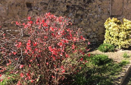 Maison Daumas Billard Français et Piscine - Foto 13