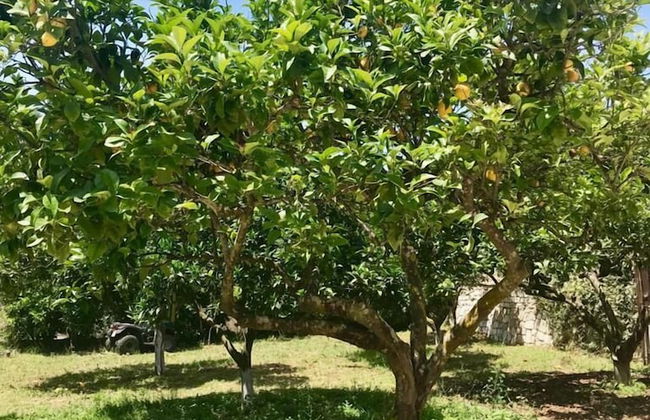 PargaLand Studios & Apartments - Foto 55