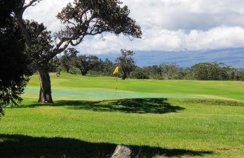 Ferns & Frogs Forest Hale 3 Bedroom Home by RedAwning - Foto 24