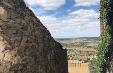 Painel de Monsaraz - Foto 17