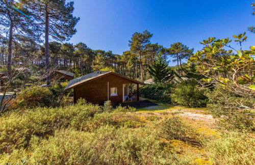 La Pinède - Carcans, Medoc - Photo 16