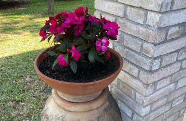 Le Ghiande - Foto 31