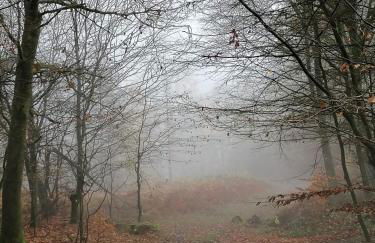 Emmerglück Lügde - Foto 27