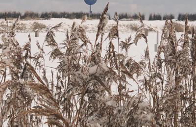 Haus Nordseeliebe mit Außensauna, Outdoor Dusche und Wallbox - Foto 42