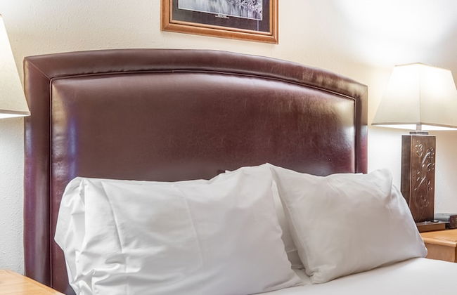 Heidelberg Inn - Foto 19