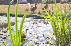 Spinnaker Barn, boutique, cute barn with hot tub - Foto 14