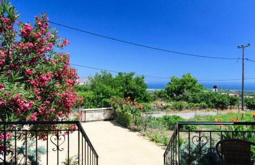 Casa Vasilia Traditional Home - Photo 37