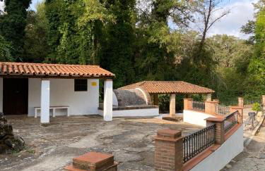 TIO TESORO - Foto 39