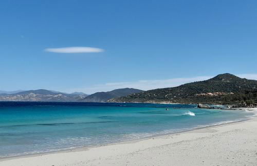 La perle de lozari, Duplex vue mer, Belgodère, L'île rousse, Corse - Foto 1