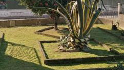 Moradia santa comba - Foto 3, Garden