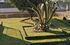 Moradia santa comba - Foto 3