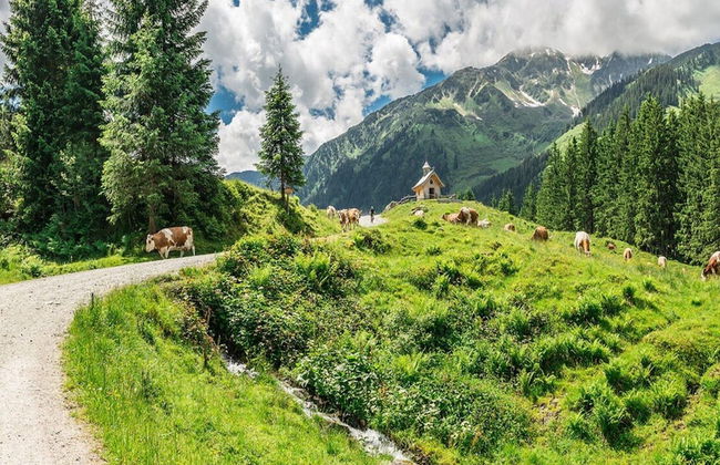 Chalet in Kitzbuhel Alps Near Hiking Trails - Foto 24