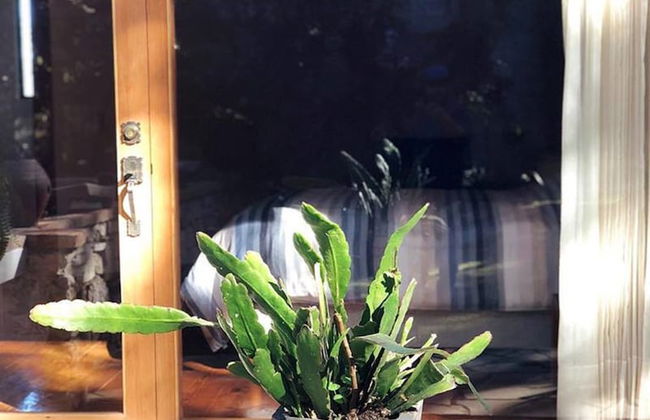 Casa Bachajon - Foto 2