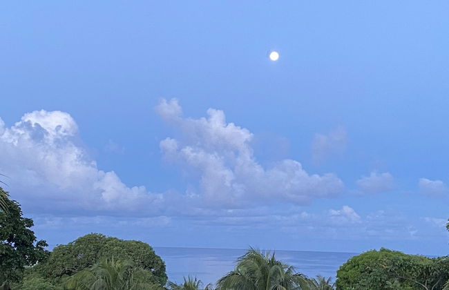 Mariposa Lodge - Foto 54