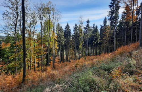 Domek Ostoja - Foto 67