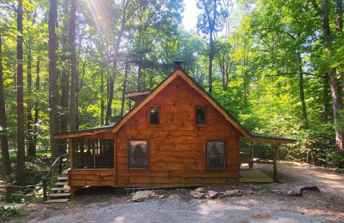 Ma & Pa's cabin at Cabin Fever in NC - Photo 28