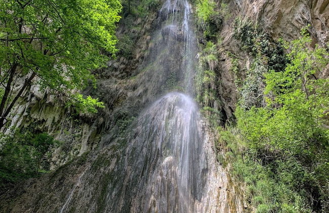Tenuta Novecento Bio Agriturismo - Foto 46