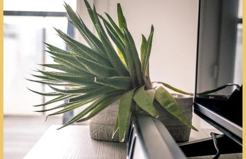 Chez Jordan I T3 I Ferney-Voltaire - Foto 32